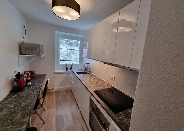 Apartment Neu Eg Oberwiesenthal